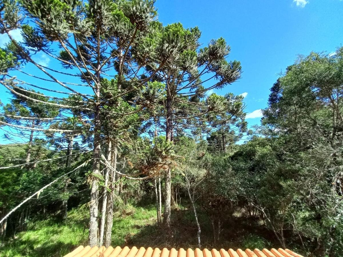 Cabana Na Floresta Rincao Do Fortaleza Cambará Exterior foto